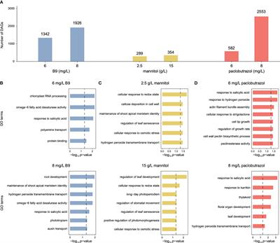 Genome-wide alternative polyadenylation dynamics underlying plant growth retardant-induced dwarfing of pomegranate